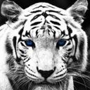 taylor malloy - @taylormalloy101 - Twitter