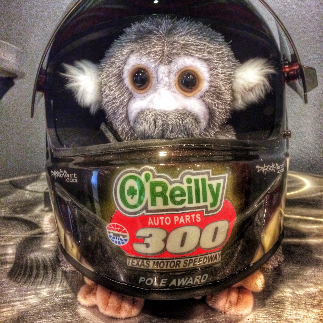 furrealphotos's profile picture. A hard working crew that loves to get their paws wet