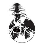 TheHigherCut's profile picture. 