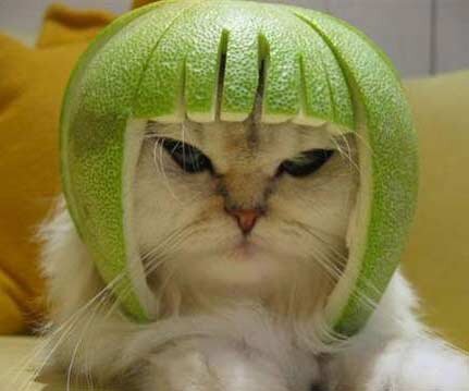 aldosal11's profile picture. 