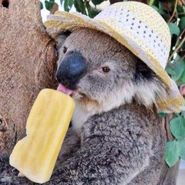 NewBourgeois's profile picture. new daily literary journal, people enthusiast, fun mom. submit@newbourgeois.com