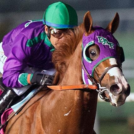 CaliforniaChrome Fan Profile