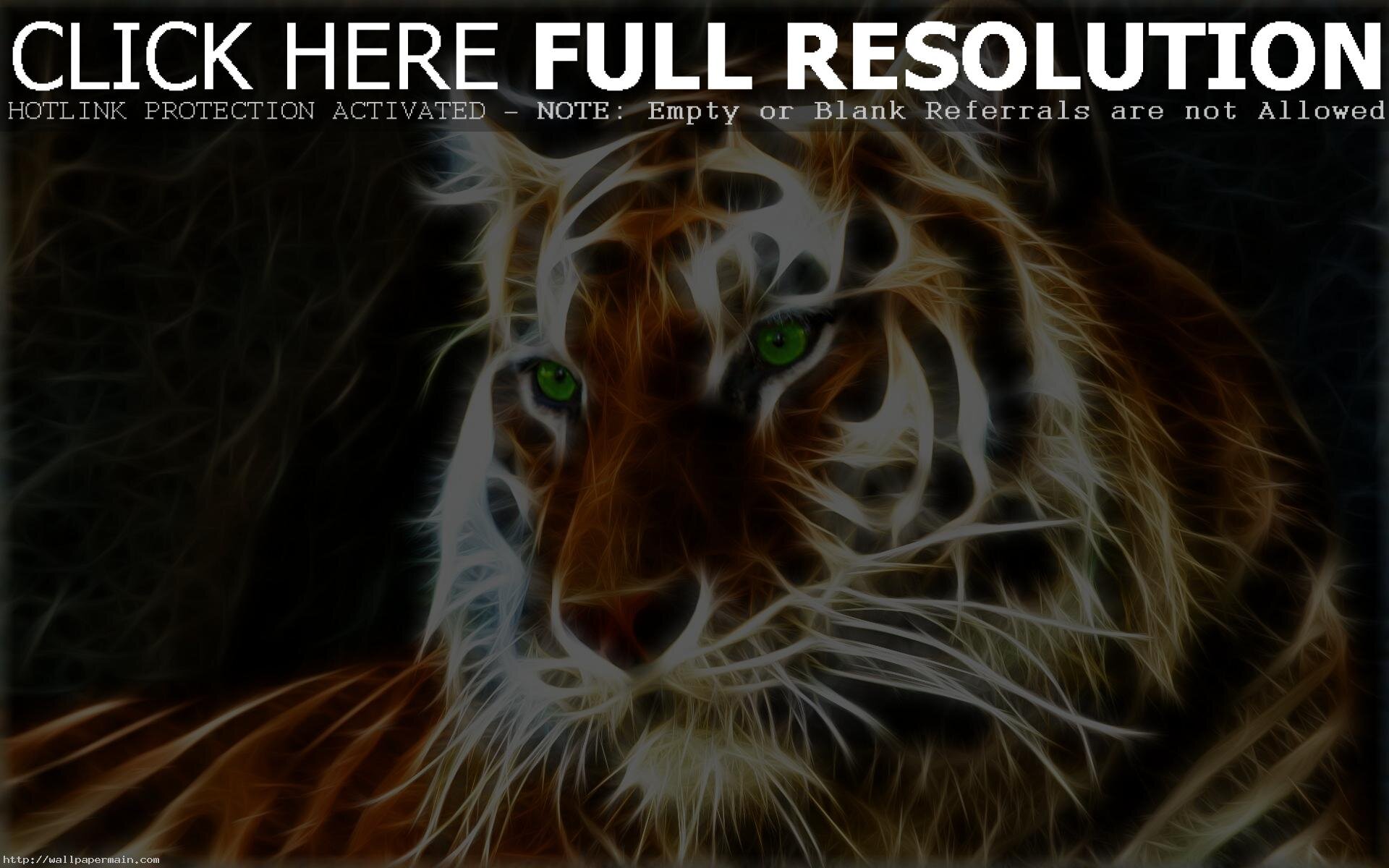 billybulldog300's profile picture. play football,play hockey,like the eagles,and Love Animals.