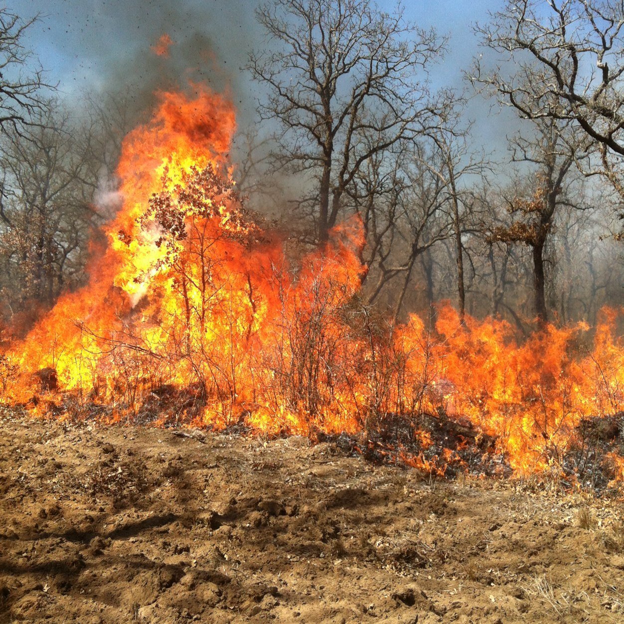 Stilwell_fire's profile picture. 