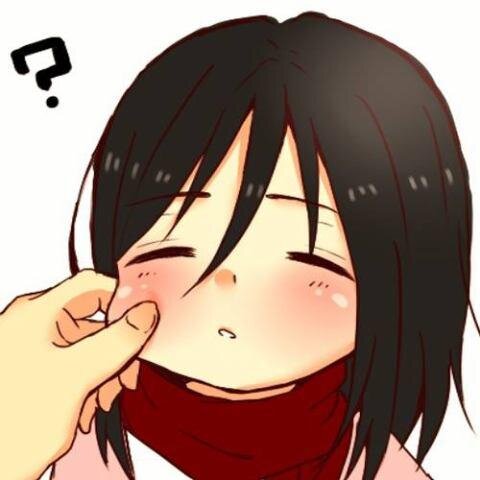 My name is Mikasa, but you can call me Mika if you want. I may be young, but I'm a warrior! My mommy is @hanjiactual