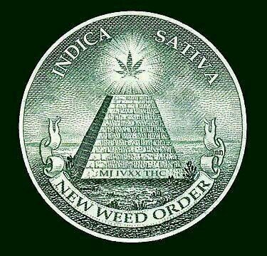 Cars, Culture, Cannabis, @®T$Tλ
|€$, Tattoos