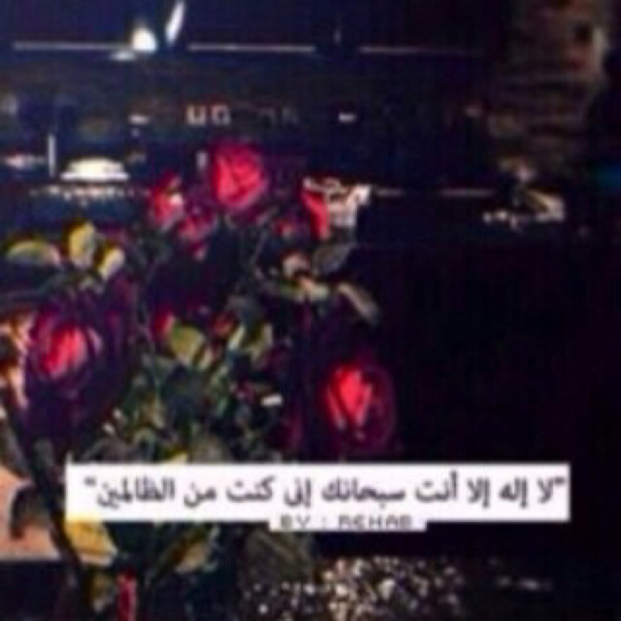 Ra7ty8rbak's profile picture. 