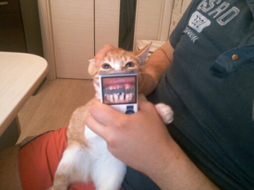 dikey235's profile picture. 