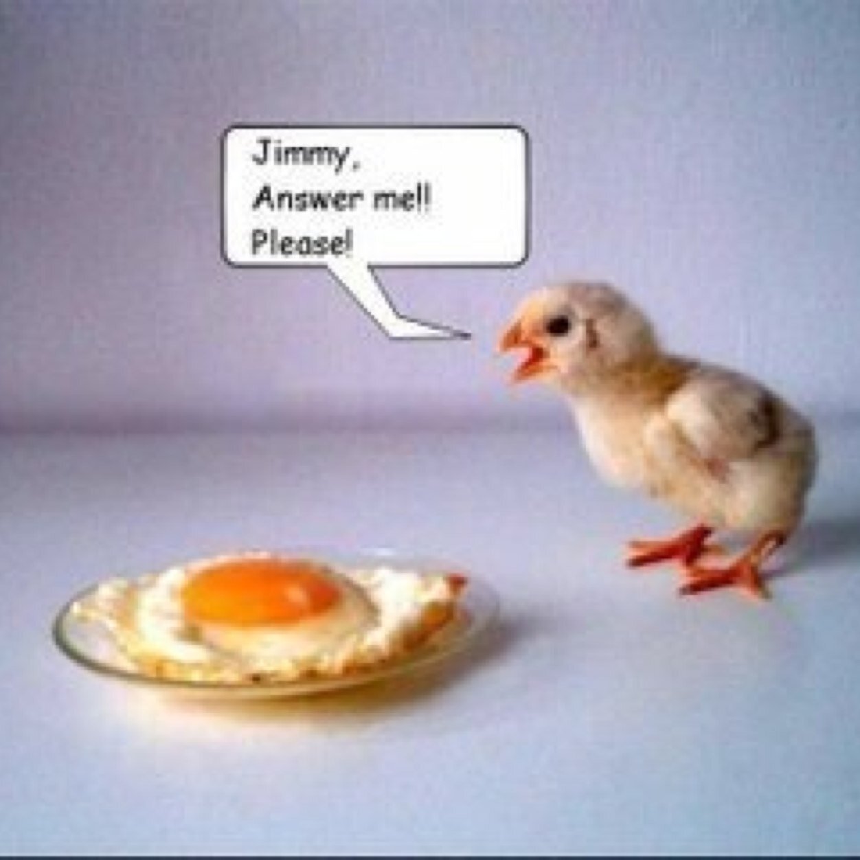 z_snyder's profile picture. 