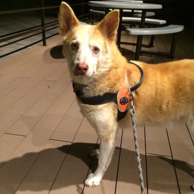 yumi_keith_familyのプロフィール写真