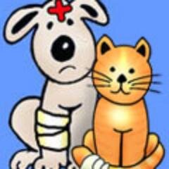 VPIpetinsSucks's profile picture. Very dissatisfied customer that wants to share my thoughts and experiences.   Make sure you do your research before buying from this company.