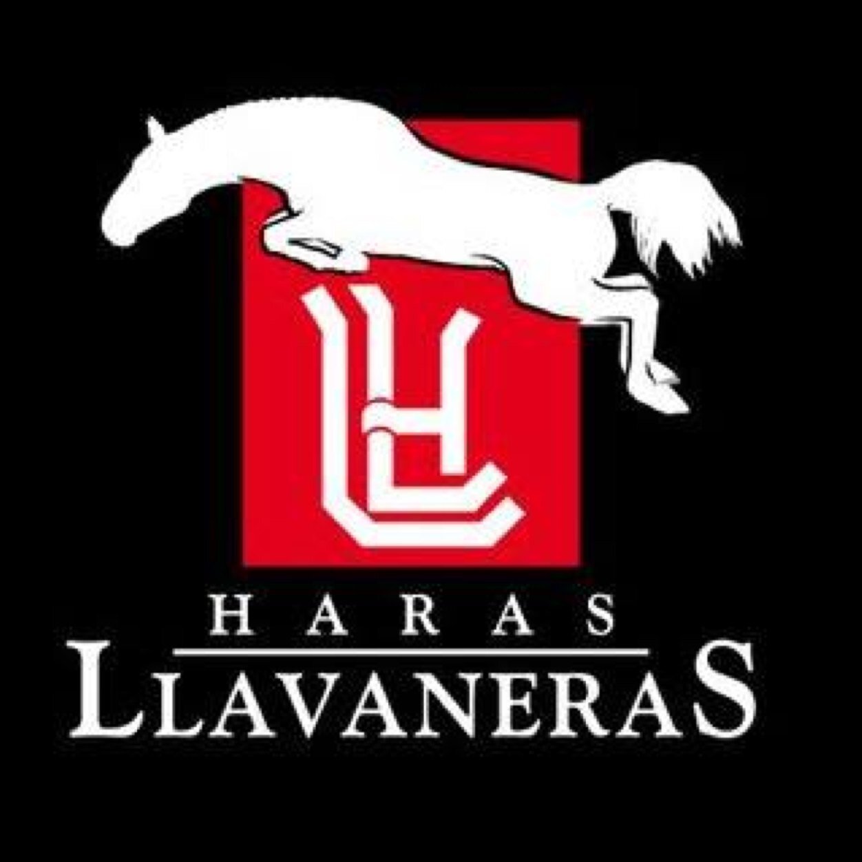 Haras Llavaneras..Equitation Horses.Argentina.@Hllavaneras
