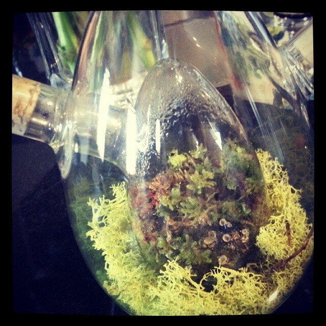 WaterWhenDry's profile picture. Succulents & Terrarium lover.
Senior project twitter feed.
