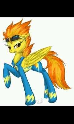 I am the captain of the WonderBolts and I am looking for an SSP...maybe Soarin'?