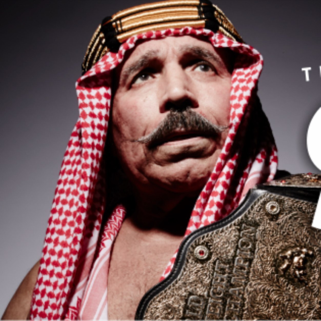 Fuck the jambroni bitch iron sheik