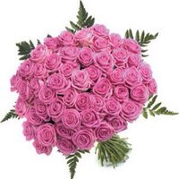 Remonda Dodo ๐๐๐ธ๐ฟ๐ง๐๐๐ (@remonda01) 's Twitter Profile