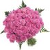 Remonda Dodo 🕊🎀🌸🌿🌧🌙🕋🌙 (@remonda01) Twitter profile photo
