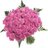 Remonda01's profile image