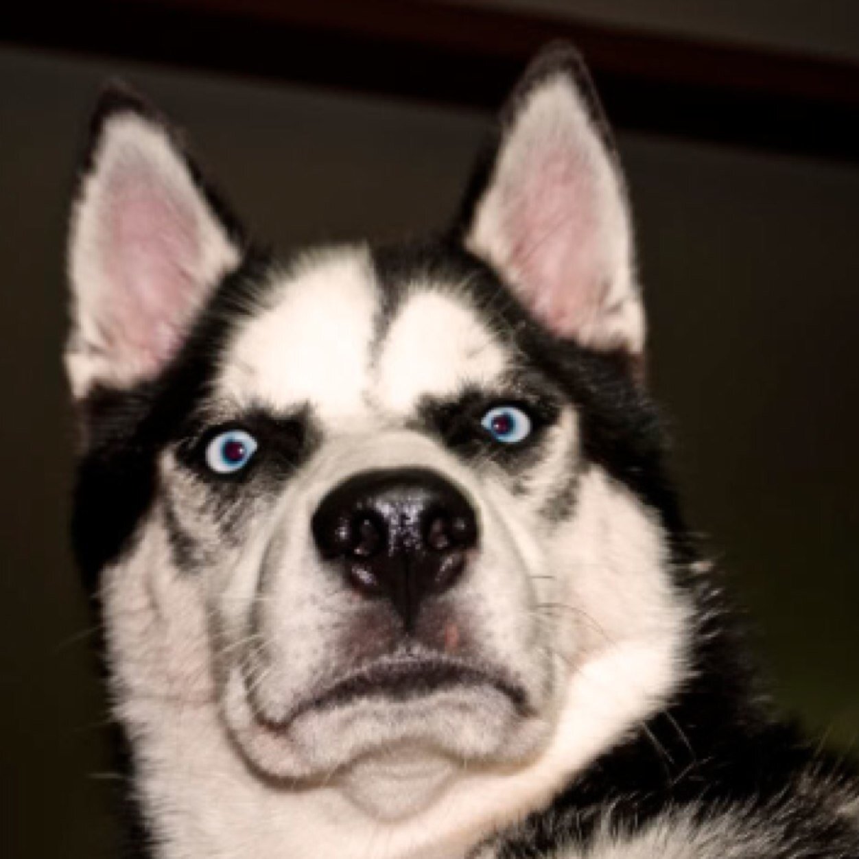UCONN Sucks.