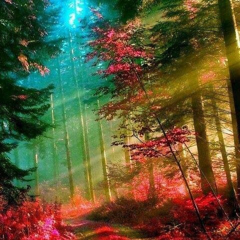 The world is too small for hatred. Spread LOVE!!!