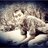 ahmad_muchlas's profile image
