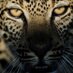 Antonio Liebana Nava (@liebanafotograf) Twitter profile photo Antonio Liebana Nava (@liebanafotograf) Twitter profile photo