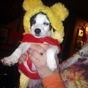 michelle borg - @borg_michelle - Twitter