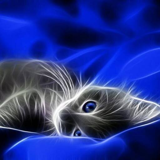 crucarloz's profile picture. Novio del baile, amante de los felinos y esclavo de los placeres de la vida.