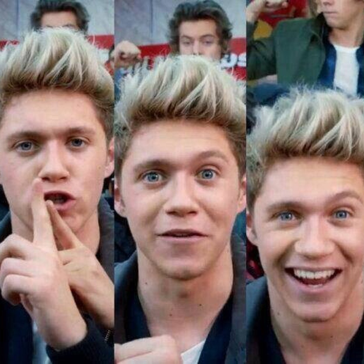 Hey, I´m Niall Horan I love Our Fans I Love You So Much! I Speak English And Spanish! :D Yey! Adios_Bye. Seguirme En @NiallOfficial ;) Bye bye. Love 1D .Xx