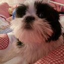 kelli louise plummer - @Youtuber_Yogger - Twitter