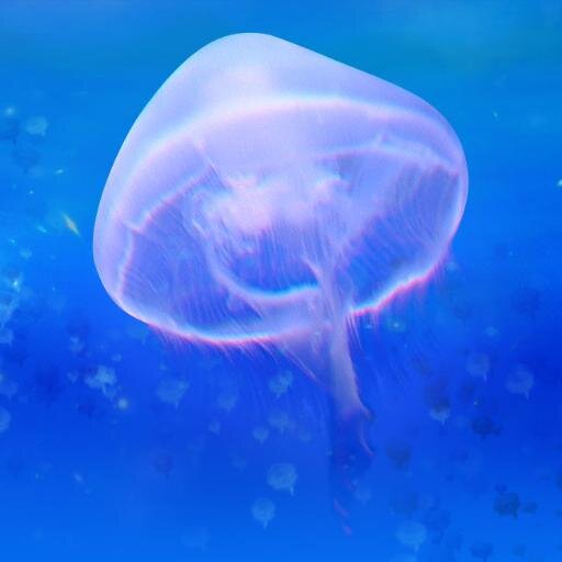 AmazingJellies1's profile picture. New York Times Critic's Pick: Film Composer