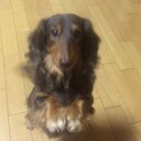 Risako (@0307Risako) Twitter