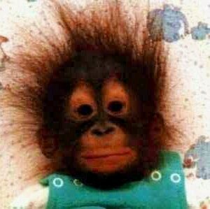 acalephecuveras's profile picture. 