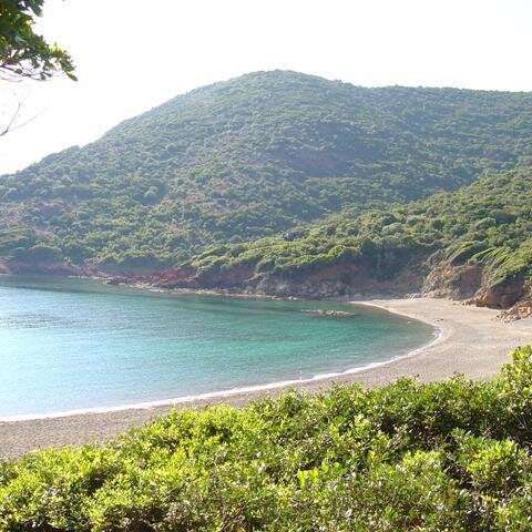 NoelleFassy's profile picture. 