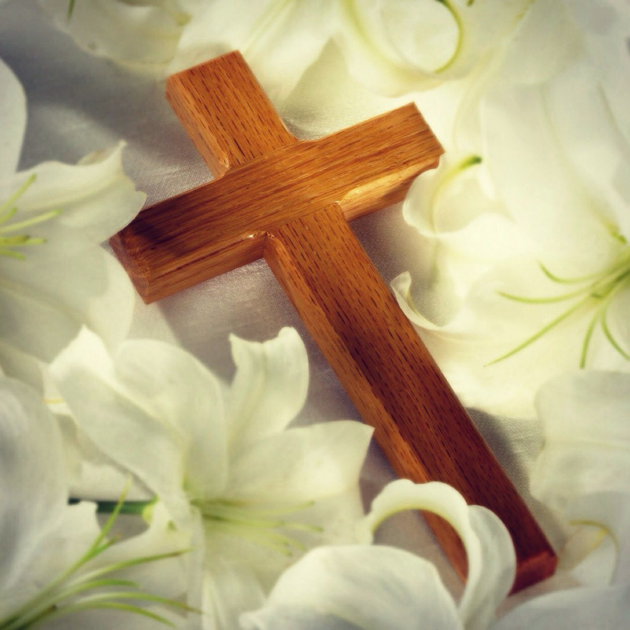 Stefaniebarnett's profile picture. 3 beautiful children, an amazing husband and the most loving family & friends a girl could ask for. I thank God every day for my life, I am blessed x