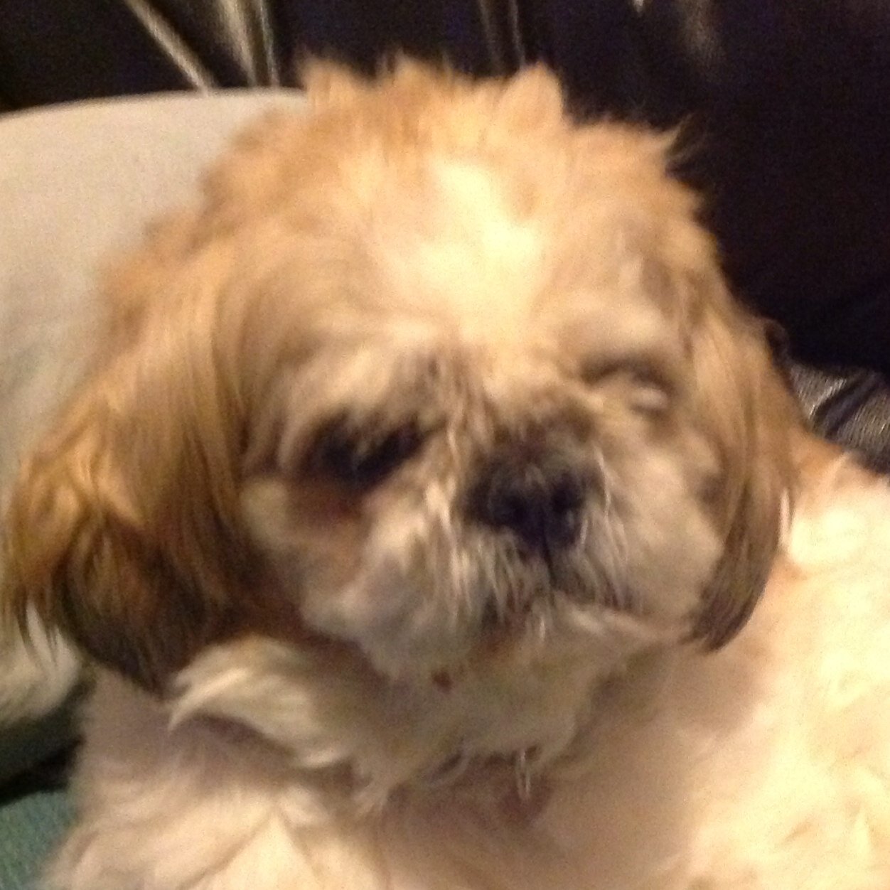 scroogepy's profile picture. Proud Mum of three talented Swimmers / Coaches. 
Crime and thriller reader.