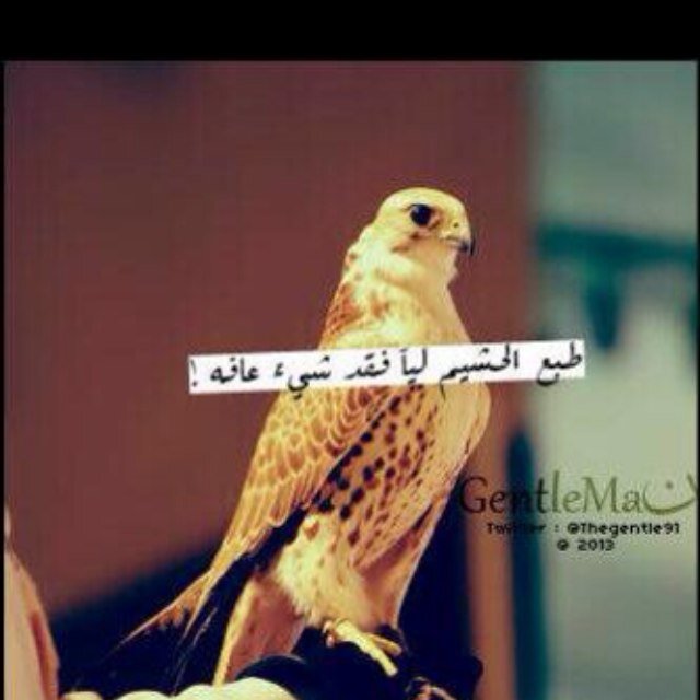 لن أحكم على شخص من ماضيه ... فماضي الالماس فحم !!! حساب (((منووووعات)))