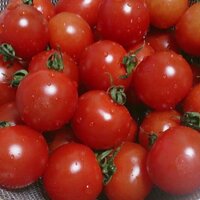 今はトマト (@coomane) 's Twitter Profile