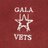 GalaVets's profile image