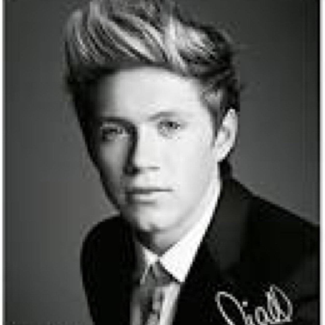 I love niall horan @niallofficial