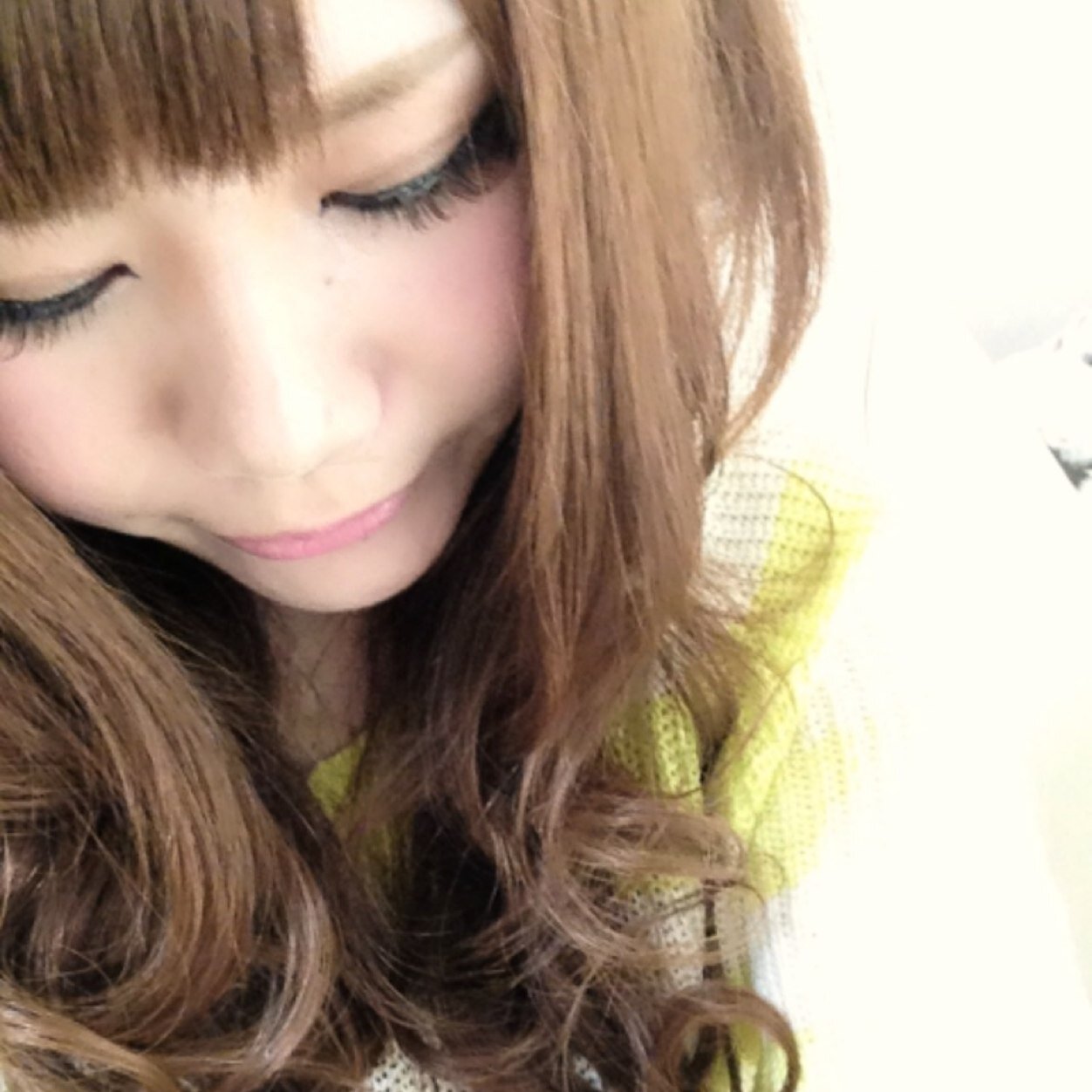 みんくちゃ Dp6tqh6 Twitter