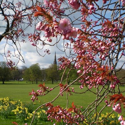 teamharrogate's profile picture. Working together to promote horticultural excellence and environmental responsibility in Harrogate