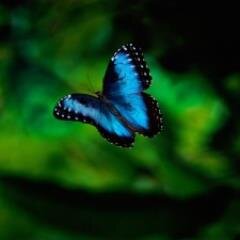 If you change the way you look at things, the things you look at change!
