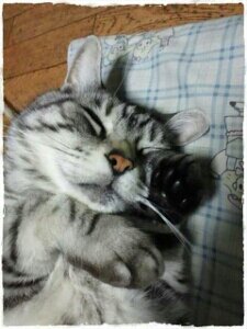KinKi Kidsが大好き(メンズ)です☆愛を知る為 愛を捧げる為繋がりを求めてます！ そして猫ちゃんLOVEｯ！！ 興味を持った人には勝手にフォローしちゃうかもですww 皆様どうぞ、ヨロシクお願いします☆☆