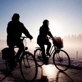 chahyojun70's profile picture. 