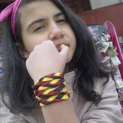 öğrenci, galatasaray fanatiği, justin bieber ve one direction hayranı