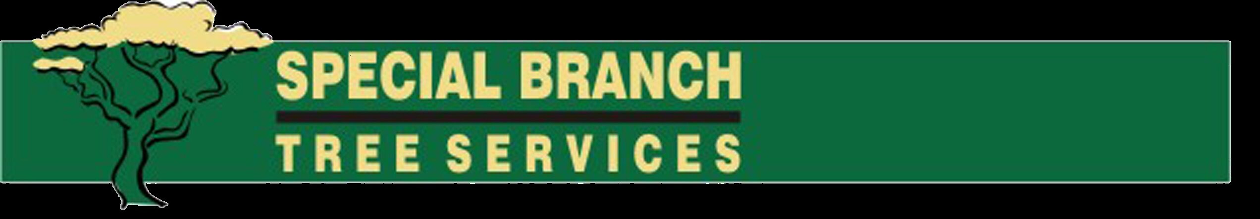 Tree Surgeon covering the whole of the North East of England.