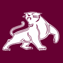 The Panthers Profile