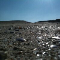 Mathias Hillion (@mathiashillion) 's Twitter Profile