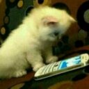 ع درب الطموح أمشي (@0090998tyue9891) Twitter
